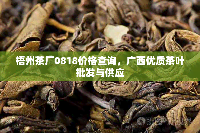 梧州茶厂0818价格查询，广西优质茶叶批发与供应