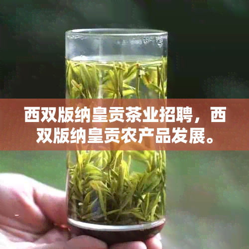 西双版纳皇贡茶业招聘，西双版纳皇贡农产品发展。