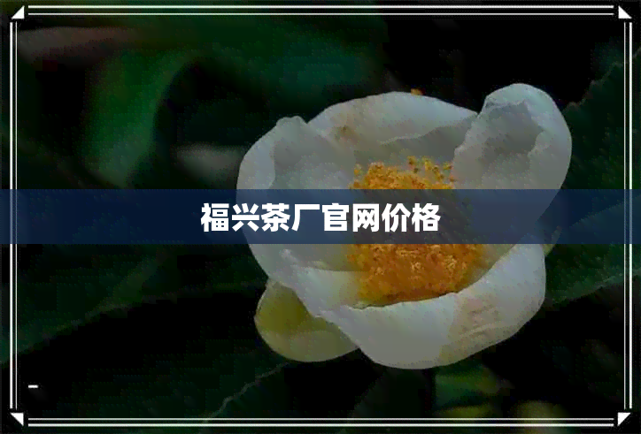 福兴茶厂官网价格