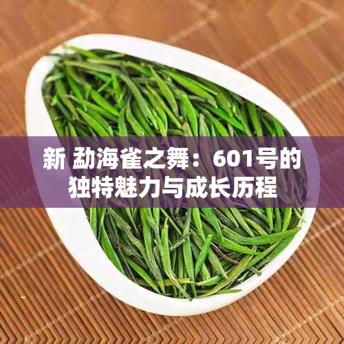 新 勐海雀之舞：601号的独特魅力与成长历程