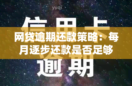 网贷逾期还款策略：每月逐步还款是否足够避免刑事责任？