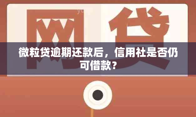 微粒贷逾期还款后，信用社是否仍可借款？