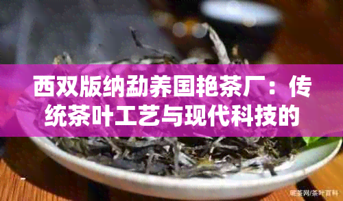 西双版纳勐养国艳茶厂：传统茶叶工艺与现代科技的完美融合