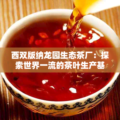 西双版纳龙园生态茶厂：探索世界一流的茶叶生产基地与绿色生产理念