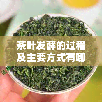 茶叶发酵的过程及主要方式有哪些？