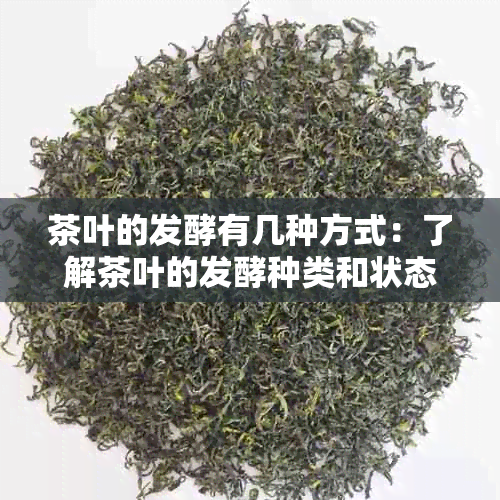 茶叶的发酵有几种方式：了解茶叶的发酵种类和状态