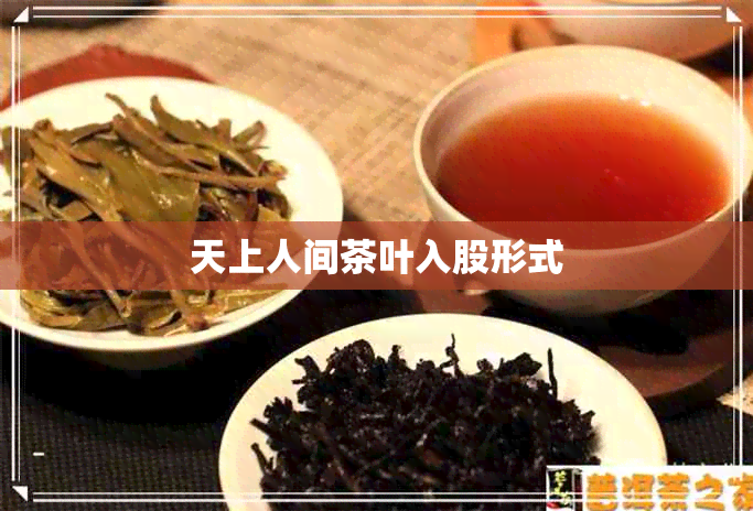 天上人间茶叶入股形式