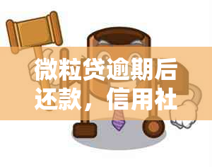 微粒贷逾期后还款，信用社借款的可行性及安全性分析