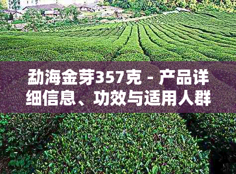 勐海金芽357克 - 产品详细信息、功效与适用人群一览无余，满足您的全面需求