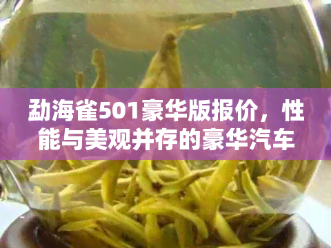 勐海雀501豪华版报价，性能与美观并存的豪华汽车