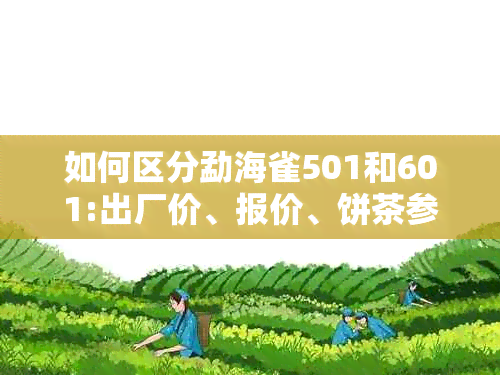 如何区分勐海雀501和601:出厂价、报价、饼茶参考价