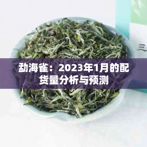 勐海雀：2023年1月的配货量分析与预测