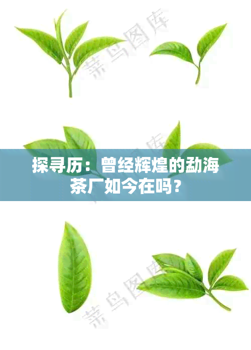 探寻历：曾经辉煌的勐海茶厂如今在吗？