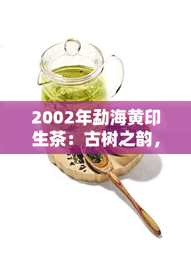 2002年勐海黄印生茶：古树之韵，山野气韵，纯正口感的独特呈现