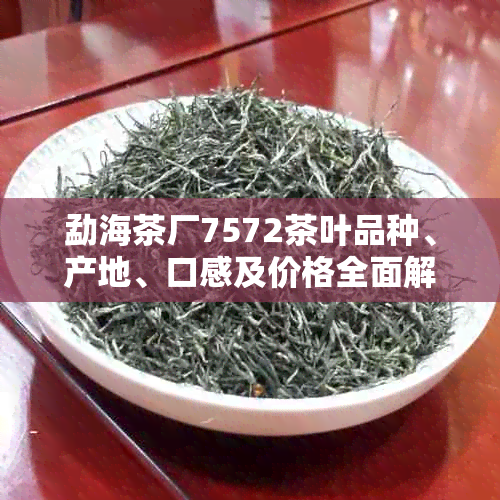 勐海茶厂7572茶叶品种、产地、口感及价格全面解析，助你轻松选购！