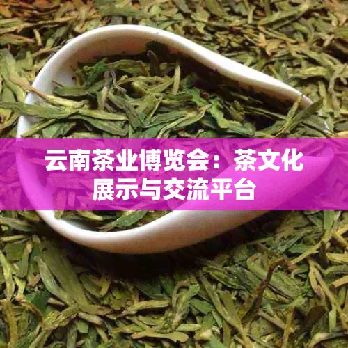 云南茶业博览会：茶文化展示与交流平台