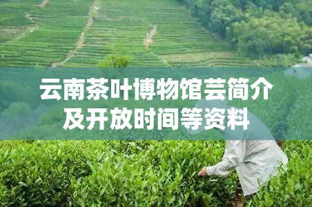 云南茶叶博物馆芸简介及开放时间等资料