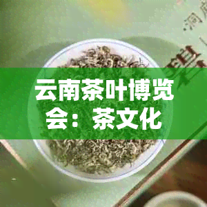 云南茶叶博览会：茶文化宴，品味云南魅力，扬茶道