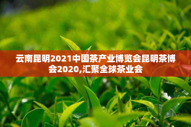 云南昆明2021中国茶产业博览会昆明茶博会2020,汇聚全球茶业会