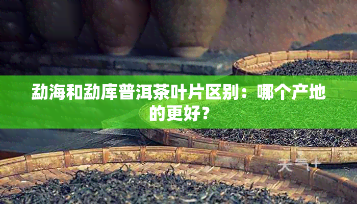 勐海和勐库普洱茶叶片区别：哪个产地的更好？