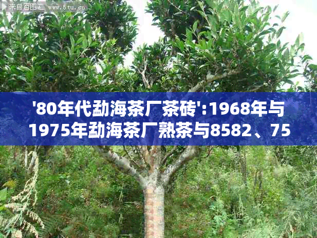 '80年代勐海茶厂茶砖':1968年与1975年勐海茶厂熟茶与8582、7572等款式简介