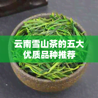 云南雪山茶的五大优质品种推荐