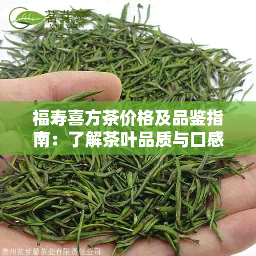 福寿喜方茶价格及品鉴指南：了解茶叶品质与口感的全方位选择