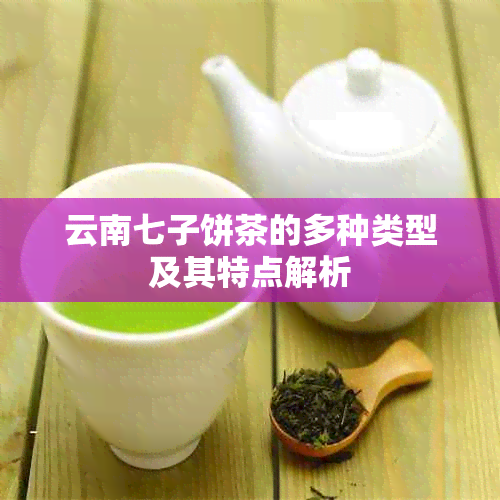 云南七子饼茶的多种类型及其特点解析