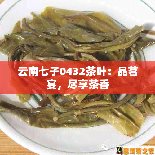 云南七子0432茶叶：品茗宴，尽享茶香