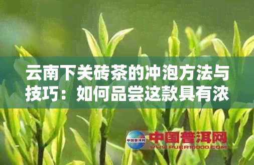 云南下关砖茶的冲泡方法与技巧：如何品尝这款具有浓厚历文化底蕴的茶叶？