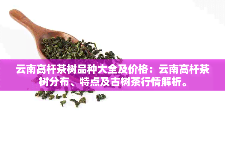 云南高杆茶树品种大全及价格：云南高杆茶树分布、特点及古树茶行情解析。