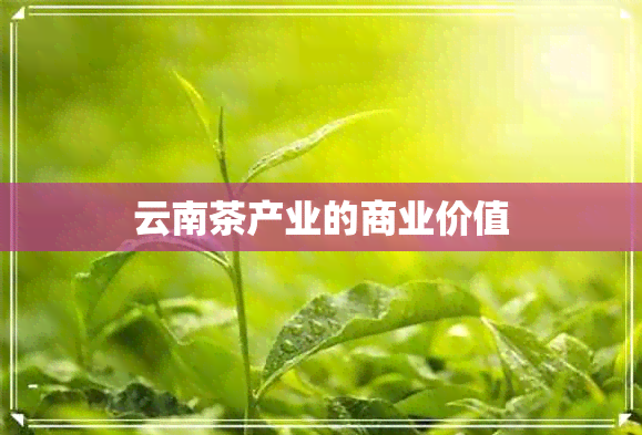 云南茶产业的商业价值