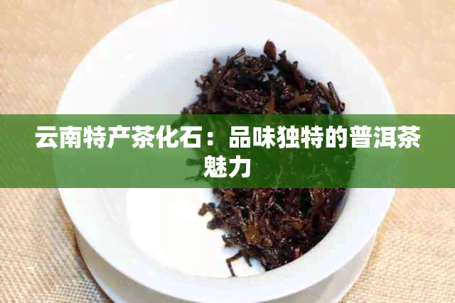 云南特产茶化石：品味独特的普洱茶魅力