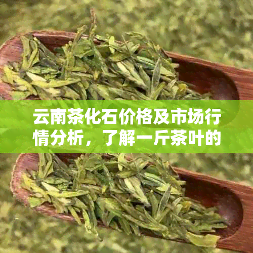 云南茶化石价格及市场行情分析，了解一斤茶叶的价格及购买途径