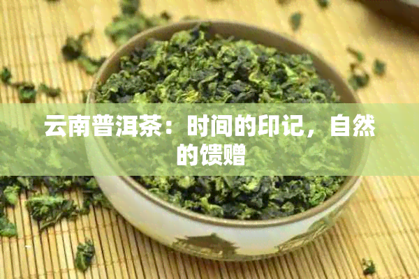 云南普洱茶：时间的印记，自然的馈赠