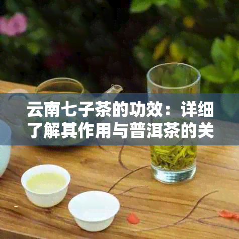 云南七子茶的功效：详细了解其作用与普洱茶的关系与特色