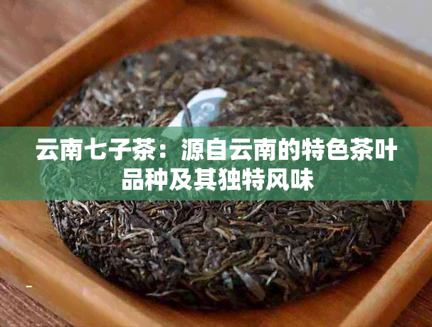 云南七子茶：源自云南的特色茶叶品种及其独特风味