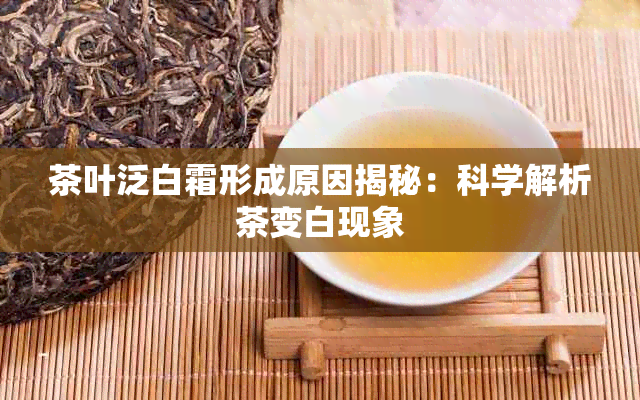 茶叶泛白霜形成原因揭秘：科学解析茶变白现象