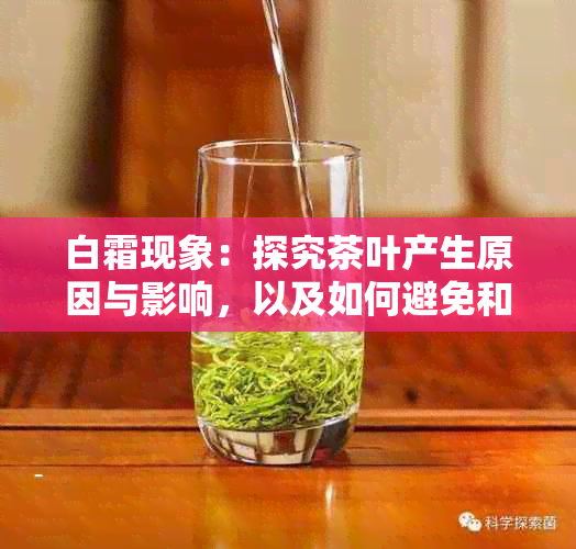 白霜现象：探究茶叶产生原因与影响，以及如何避免和解决这一问题