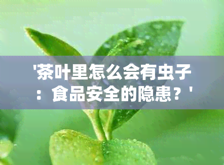 '茶叶里怎么会有虫子：食品安全的隐患？'