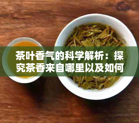 茶叶香气的科学解析：探究茶香来自哪里以及如何影响我们的感官体验