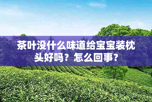 茶叶没什么味道给宝宝装枕头好吗？怎么回事？