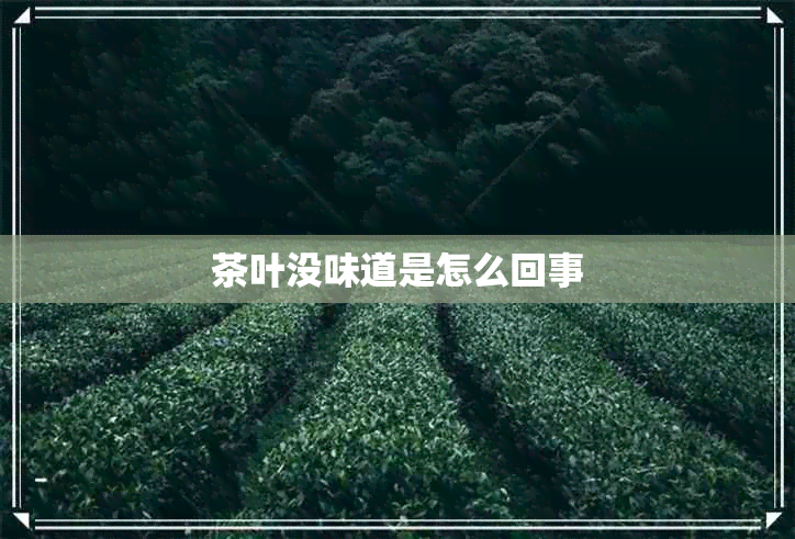 茶叶没味道是怎么回事