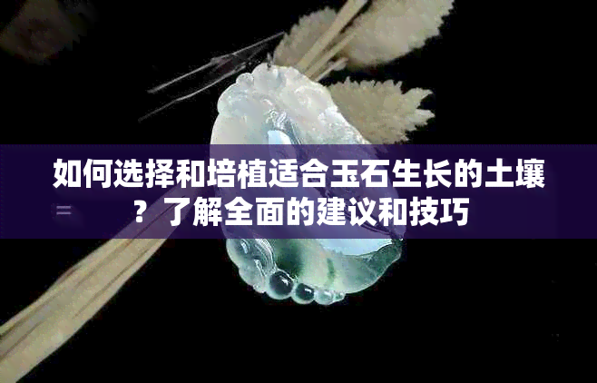 如何选择和培植适合玉石生长的土壤？了解全面的建议和技巧