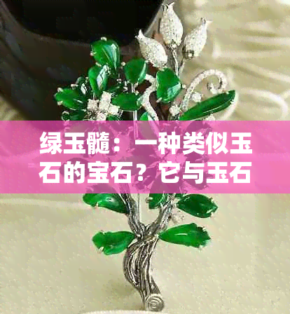 绿玉髓：一种类似玉石的宝石？它与玉石有何区别和相似之处？