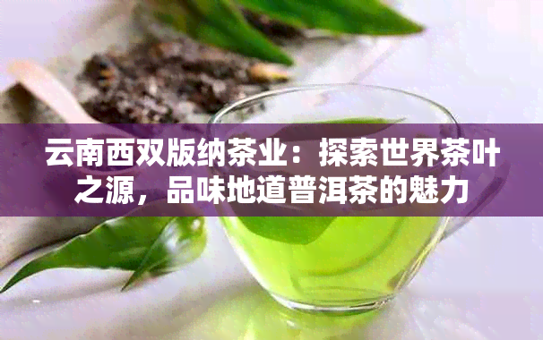 云南西双版纳茶业：探索世界茶叶之源，品味地道普洱茶的魅力