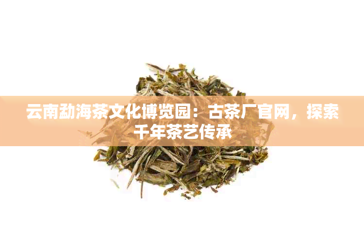 云南勐海茶文化博览园：古茶厂官网，探索千年茶艺传承