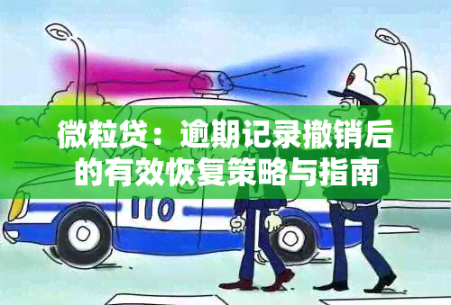 微粒贷：逾期记录撤销后的有效恢复策略与指南