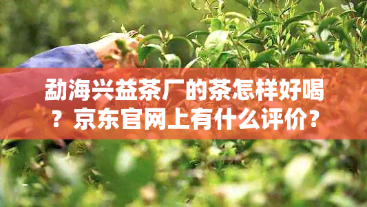 勐海兴益茶厂的茶怎样好喝？京东官网上有什么评价？