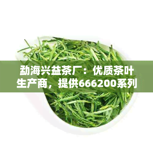 勐海兴益茶厂：优质茶叶生产商，提供666200系列茶叶的详细介绍与购买渠道